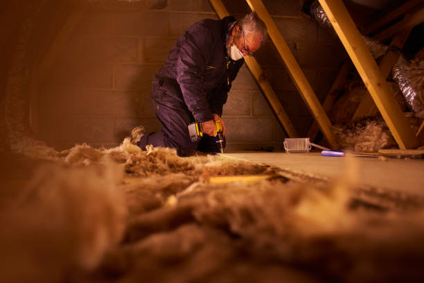 Best Types of Insulation in Miami Beach, FL